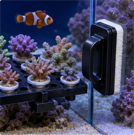 Aimant d'étanchéité pour aquariums